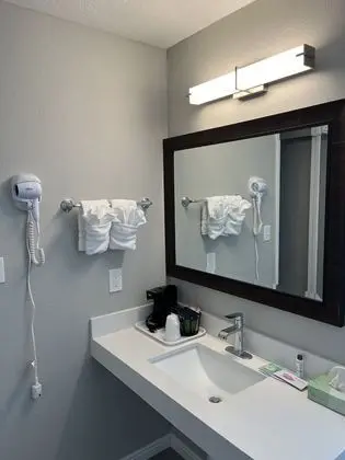 Deluxe Tek Büyük Yataklı Oda, 1 En Büyük (King) Boy Yatak