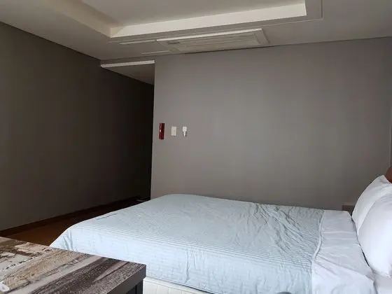 Deluxe Tek Büyük Yataklı Oda, 1 En Büyük (King) Boy Yatak, Sigara İçilebilir