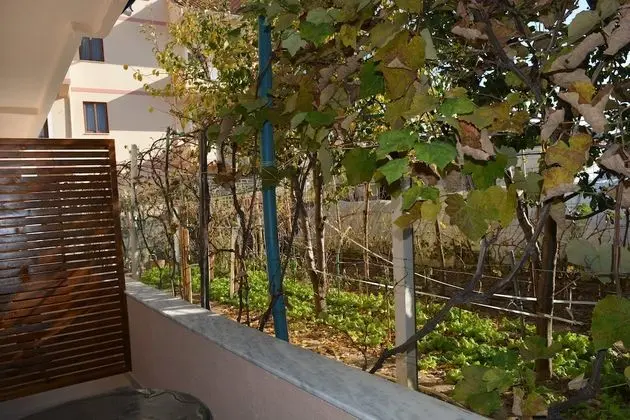 Traditional Apart Daire, 2 Yatak Odası, Mutfak, Üzüm Asması Manzaralı