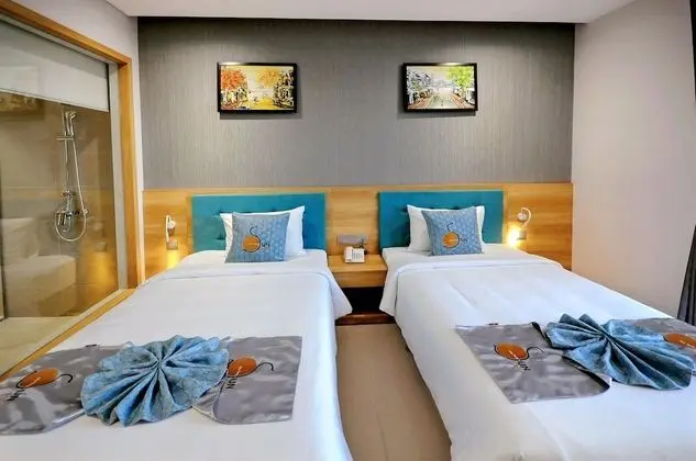 Deluxe İki Ayrı Yataklı Oda, Şehir Manzaralı