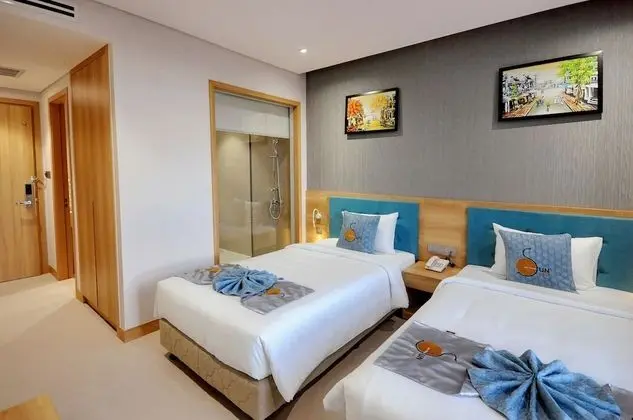 Deluxe İki Ayrı Yataklı Oda, Şehir Manzaralı