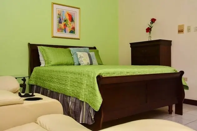 Comfort Stüdyo Süit, 1 Büyük (Queen) Boy Yatak, Sigara İçilmez