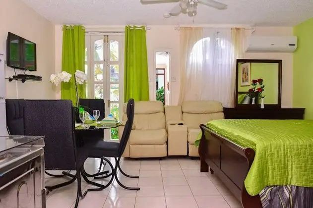 Comfort Stüdyo Süit, 1 Büyük (Queen) Boy Yatak, Sigara İçilmez