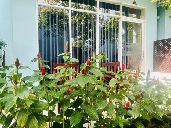 Üç Kişilik Oda, Bahçe Manzaralı