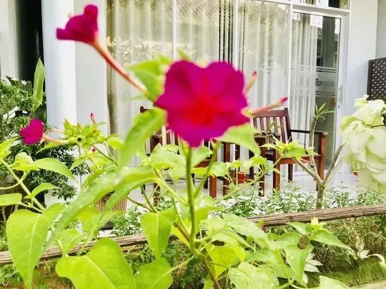 Üç Kişilik Oda, Bahçe Manzaralı