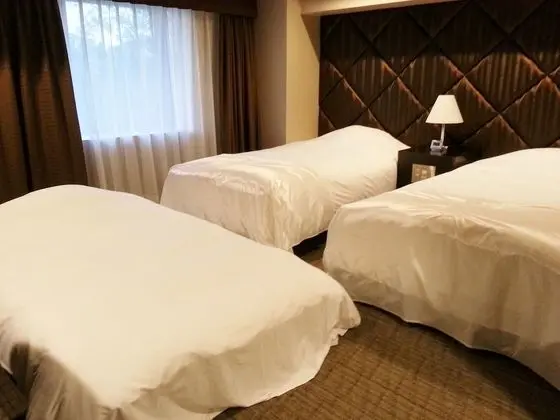 Üç Kişilik Oda, Sigara İçilmez (Twin Room with 1 Extra Bed)
