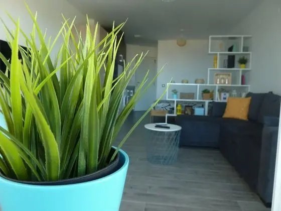 Deluxe Apart Daire, Engellilere Uygun, Balkon