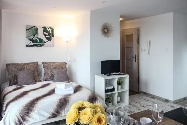 Comfort Apart Daire, 1 Çift Kişilik Yatak, Sigara İçilmez, Şehir Manzaralı