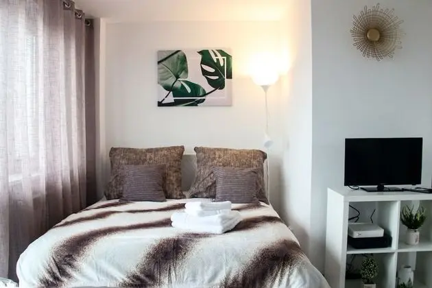 Comfort Apart Daire, 1 Çift Kişilik Yatak, Sigara İçilmez, Şehir Manzaralı