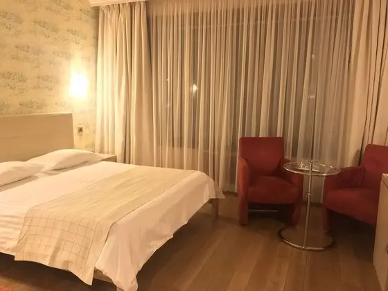 Standard Tek Büyük Yataklı Oda, 1 Çift Kişilik Yatak