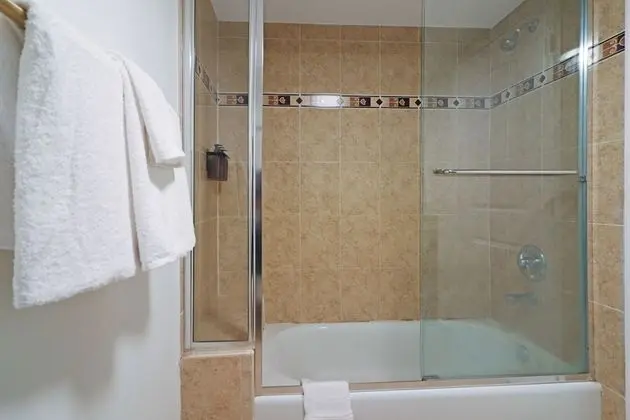 2 Bed 2 Bath Apartment