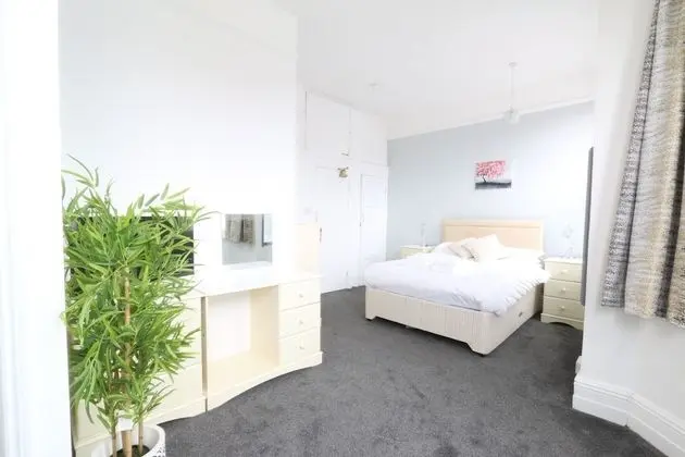 Tek Büyük Yataklı Oda, Banyolu/Duşlu (Large)