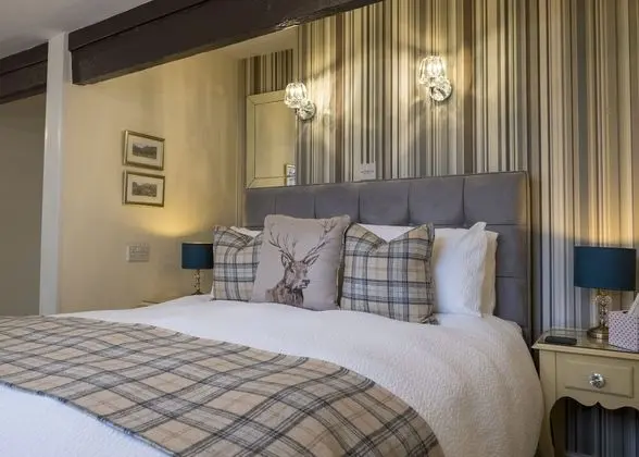 Premium Tek Büyük Yataklı Oda