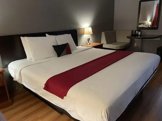 Süit, 1 En Büyük (King) Boy Yatak (Executive Suite)