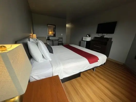 Süit, 1 En Büyük (King) Boy Yatak (Executive Suite)