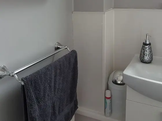 Ev, Özel Banyo
