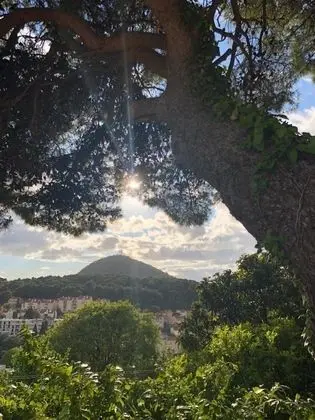 Apart Daire (One Bedroom Apartment with Terrace)