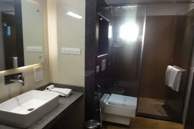 Executive Tek Büyük Yataklı Oda, 1 En Büyük (King) Boy Yatak