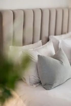 Deluxe Stüdyo Süit, 1 Yatak Odası