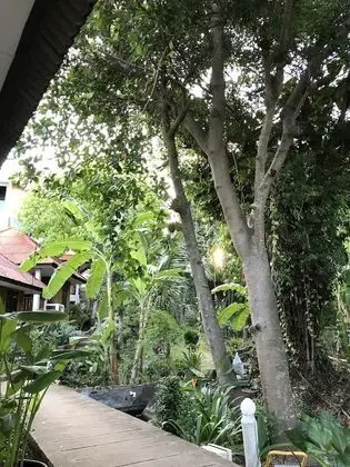 Standard Bungalov