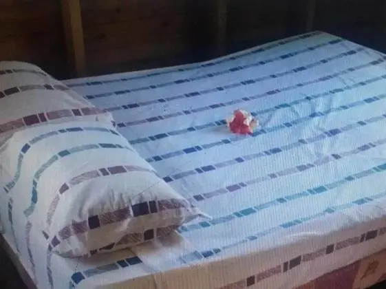 Family Oda, 1 Yatak Odası, Özel Banyo, Okyanus Manzaralı (Ocean View Eco Family Cabin)