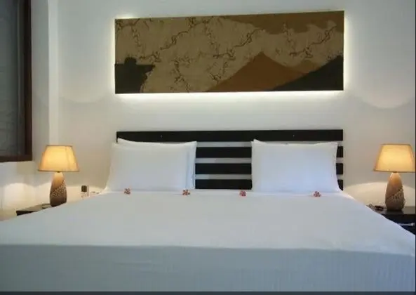 Superior Tek Büyük Yataklı Oda, Bahçe Manzaralı