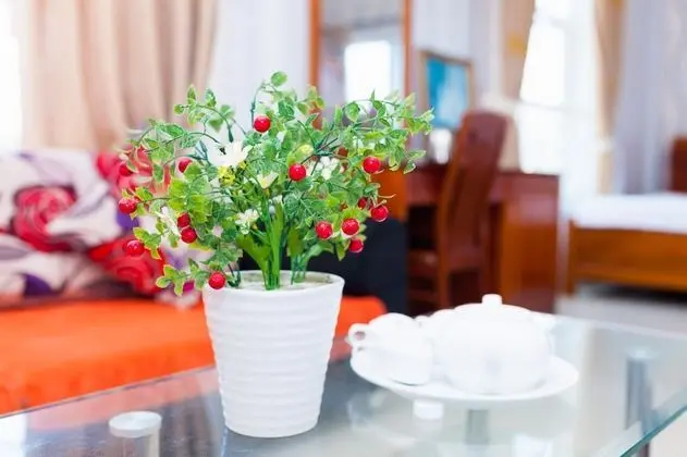 Deluxe Tek Büyük Yataklı Oda, Deniz Manzaralı