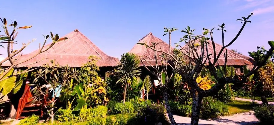 Deluxe Bungalov