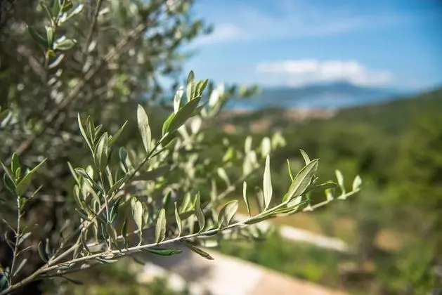 Apart Daire, 2 Yatak Odası, Teras, Deniz Manzaralı