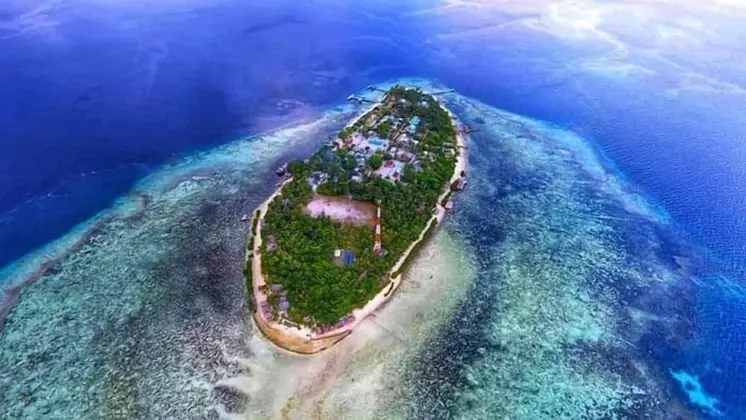 Basic Bungalov, Deniz Manzaralı