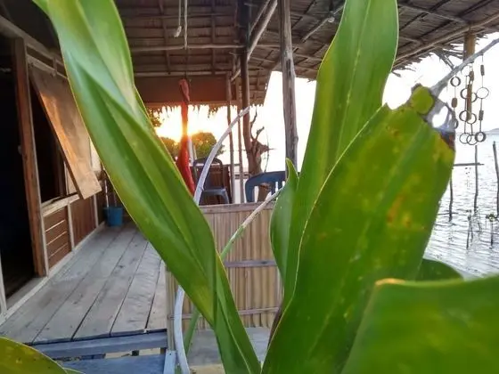 Basic Bungalov, Deniz Manzaralı