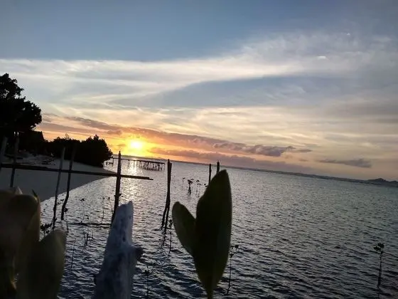 Basic Bungalov, Deniz Manzaralı