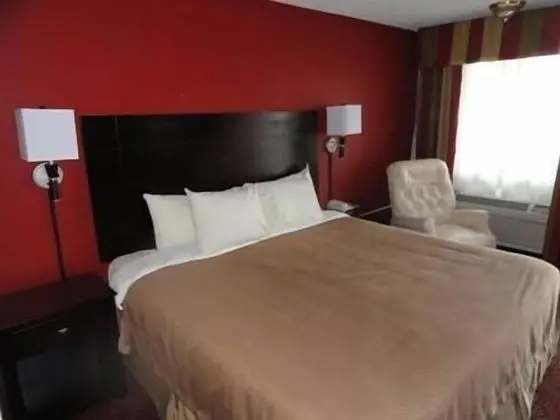 Standard Oda, 1 En Büyük (King) Boy Yatak, Sigara İçilmez