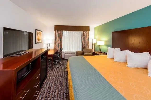 Deluxe Suite, 1 King Bed, Refrigerator & Microwave (Non Pet Friendly)