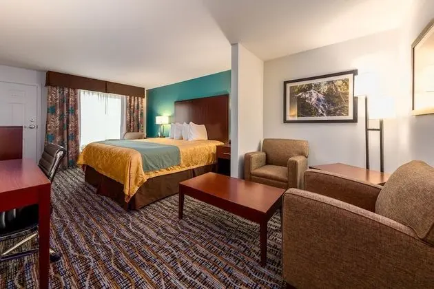 Deluxe Suite, 1 King Bed, Refrigerator & Microwave (Non Pet Friendly)