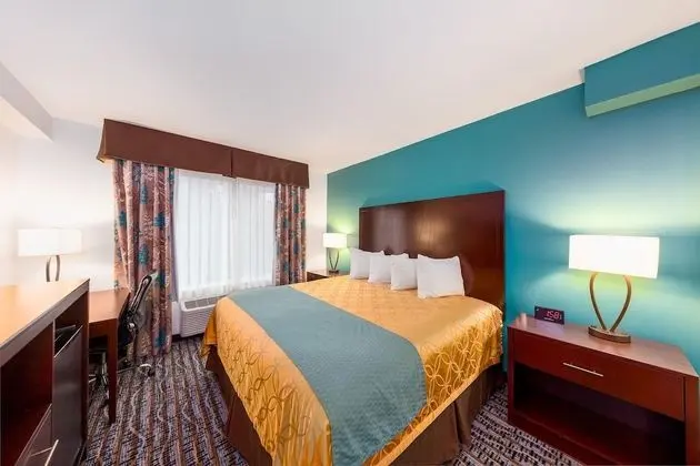 Deluxe Suite, 1 King Bed, Refrigerator & Microwave (Non Pet Friendly)