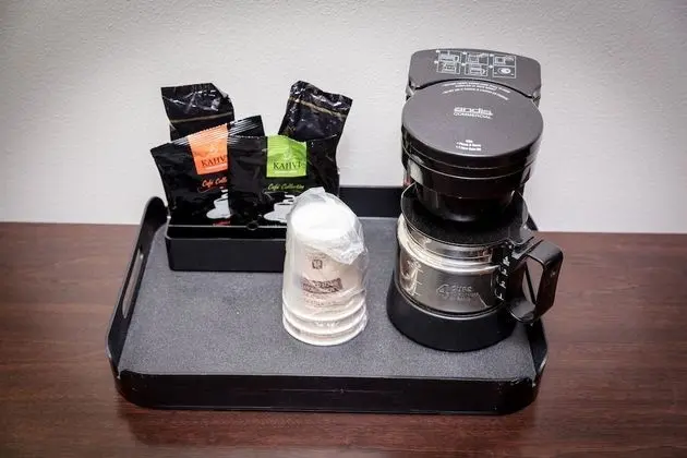 Deluxe Suite, 1 King Bed, Refrigerator & Microwave (Non Pet Friendly)