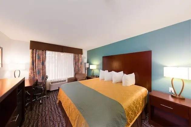 Deluxe Suite, 1 King Bed, Refrigerator & Microwave (Non Pet Friendly)