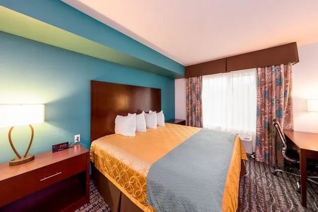 Deluxe Suite, 1 King Bed, Refrigerator & Microwave (Non Pet Friendly)