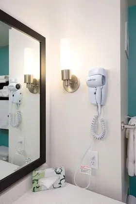 Deluxe Suite, 1 King Bed, Refrigerator & Microwave (Non Pet Friendly)