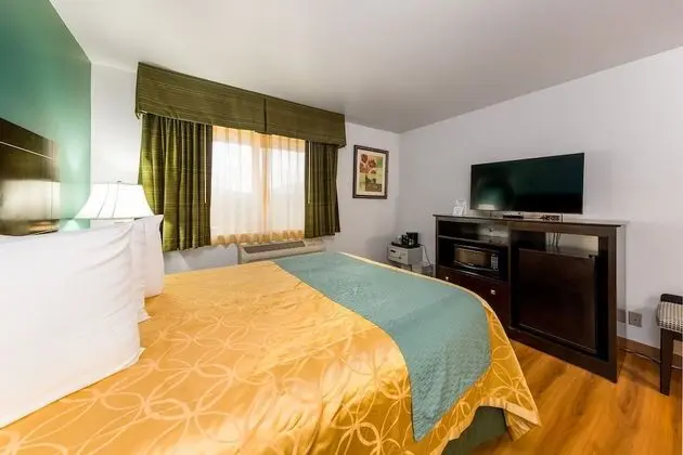 Standard Oda, 1 En Büyük (King) Boy Yatak, Buzdolabı ve Mikrodalga