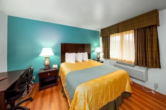 Standard Oda, 1 En Büyük (King) Boy Yatak, Buzdolabı ve Mikrodalga