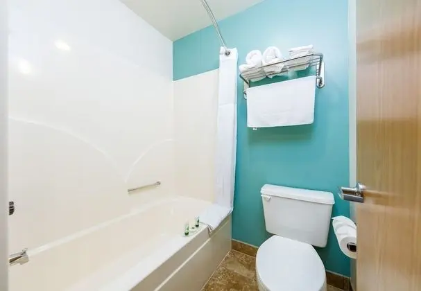 Standard Oda, 1 En Büyük (King) Boy Yatak, Buzdolabı ve Mikrodalga