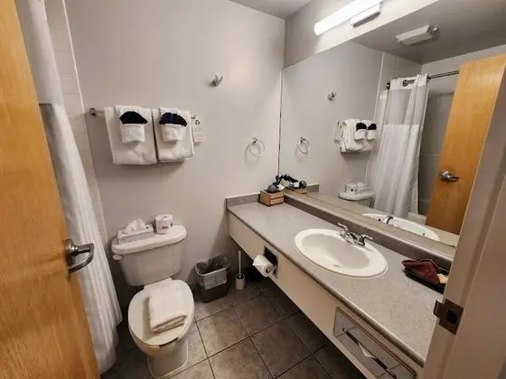 Junior Süit, 1 Büyük (Queen) Boy Yatak ve Çekyat, Engellilere Uygun, Küçük Mutfak