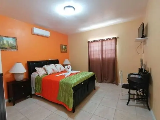 Comfort Tek Kişilik Oda, 1 Büyük (Queen) Boy Yatak, Engellilere Uygun, Buzdolabı