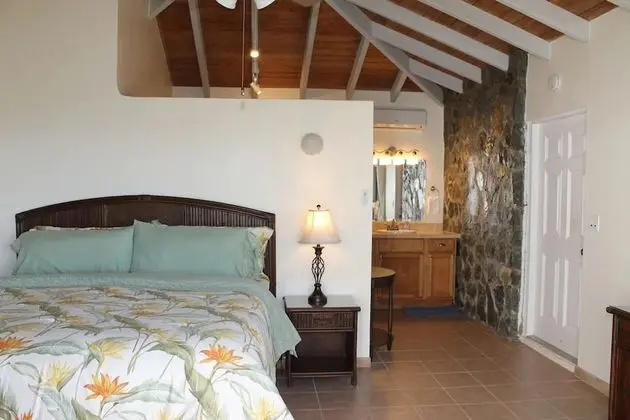 Panoramic Villa