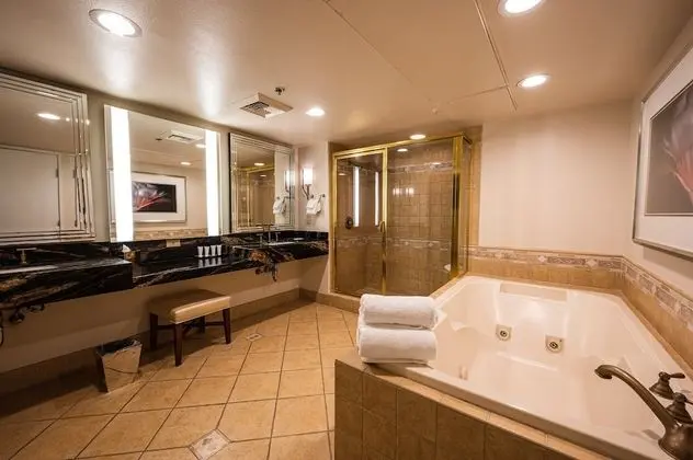 Suite, 1 King Bed