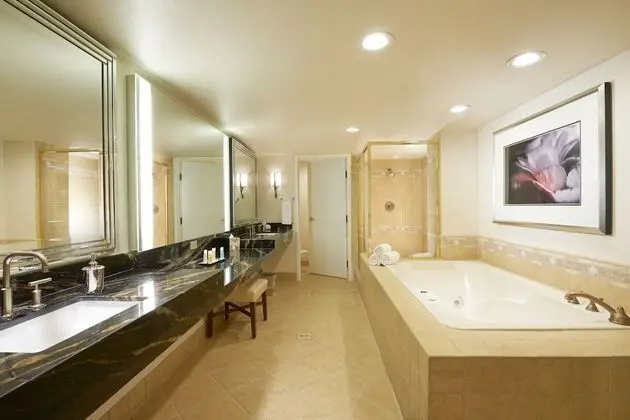 Suite, 1 King Bed