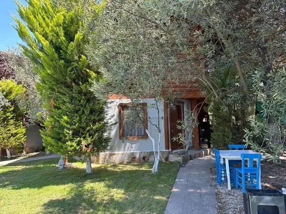 Ahşap Suit