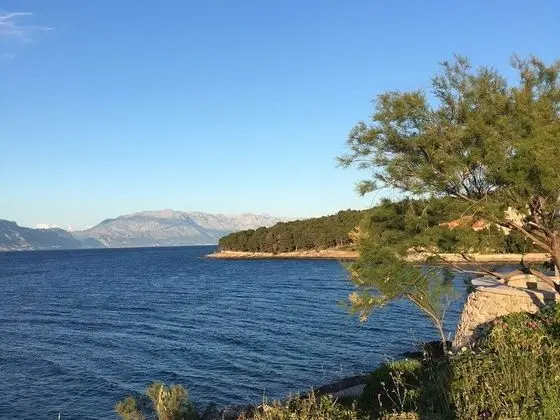 Apart Daire (One bedroom apartment with balcony)